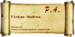 Pinkas Andrea névjegykártya